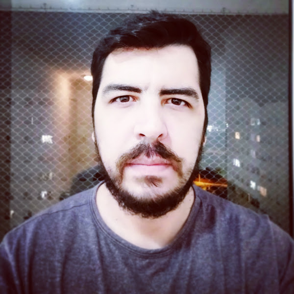 Leonardo Laporte - Responsável Técnico da LL Sistemas